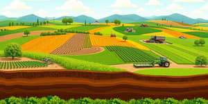 Planificación a largo plazo: Sembrando hoy, cosechando mañana